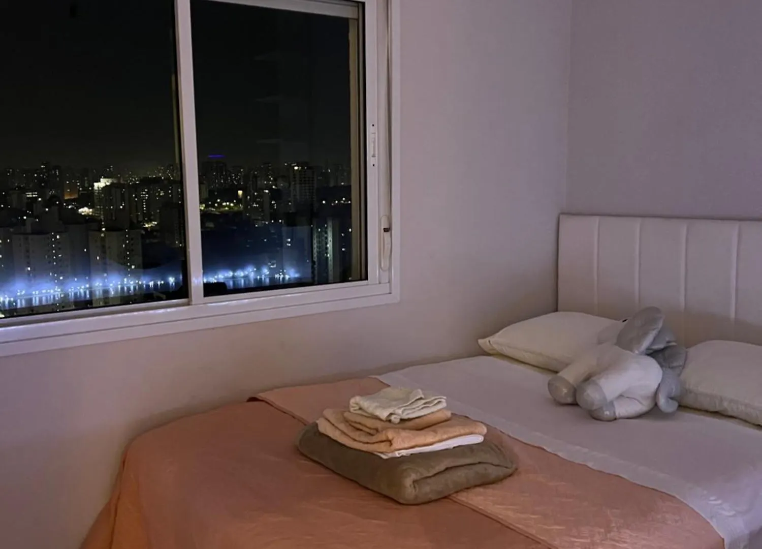 Apto Aconchegante No Ultimo Andar, Condo Com Infra Sao Paulo Daire